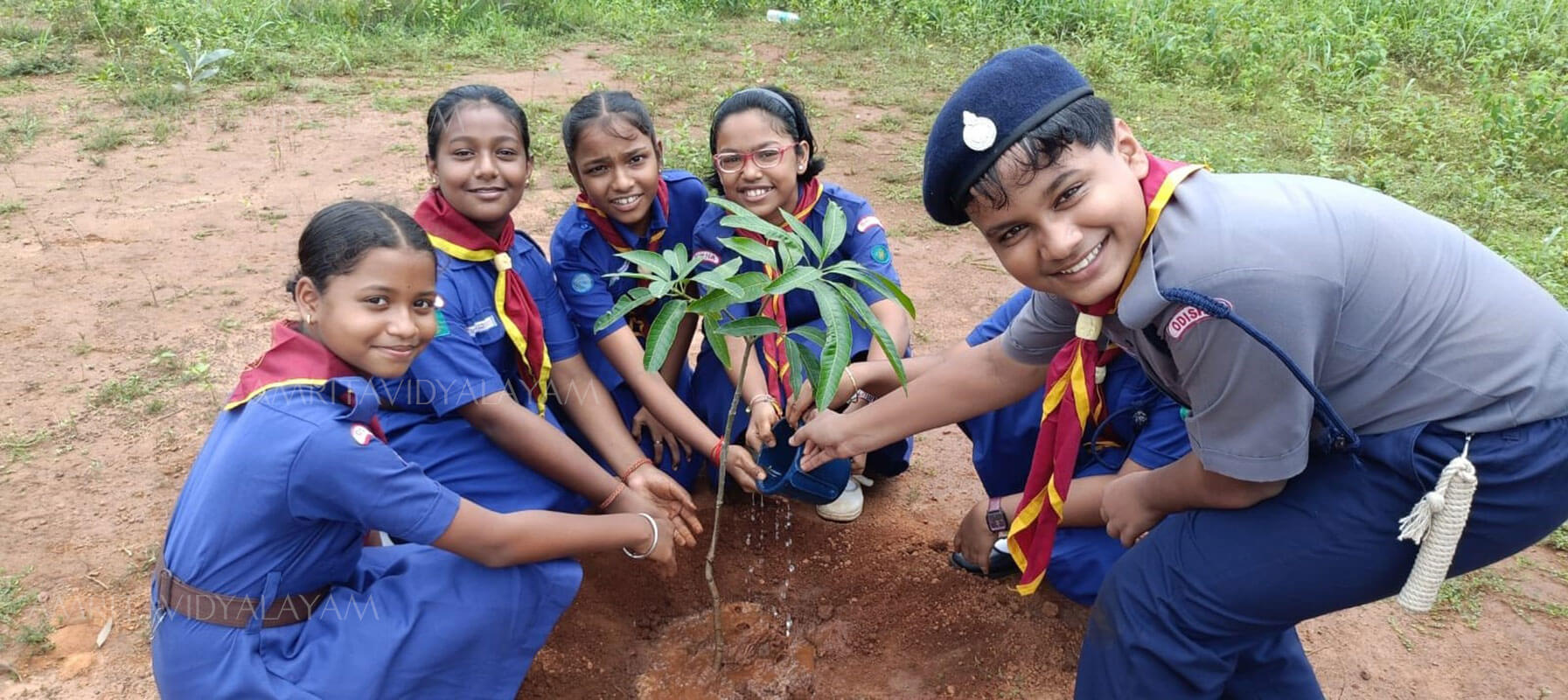 VAN MAHOTSAV 2024 Amrita Vidyalayams Odisha